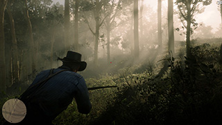 Red Dead Redemption 2 фото 2